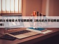 四川有哪些大学招聘教师（四川的大学招聘老师）