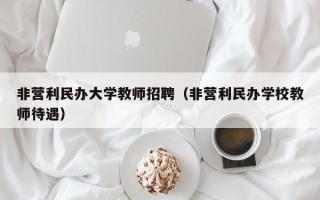 非营利民办大学教师招聘（非营利民办学校教师待遇）