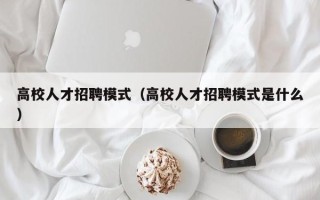高校人才招聘模式（高校人才招聘模式是什么）