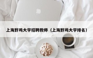 上海野鸡大学招聘教师（上海野鸡大学排名）