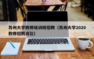 苏州大学教师培训班招聘（苏州大学2020教师招聘岗位）