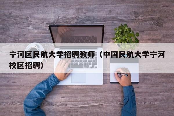 宁河区民航大学招聘教师（中国民航大学宁河校区招聘）-第1张图片-大学教师招聘