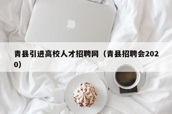青县引进高校人才招聘网（青县招聘会2020）-第1张图片-大学教师招聘